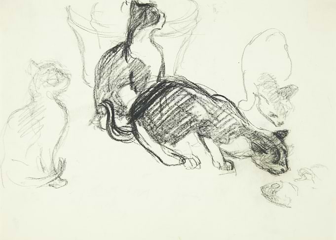 Sketch of Cats