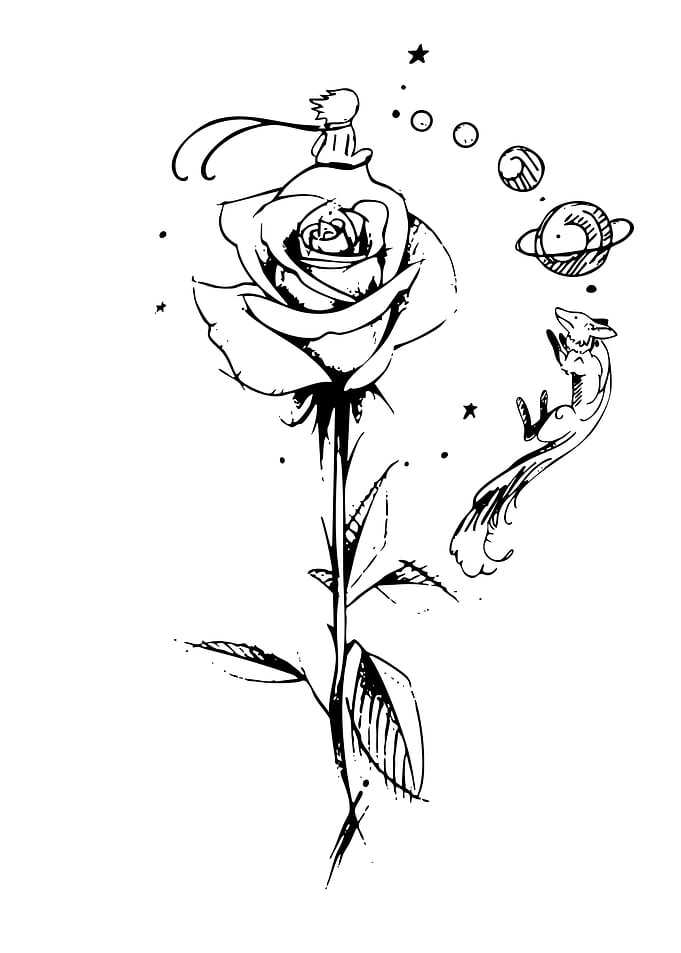 The Little Prince's Rose and Fox