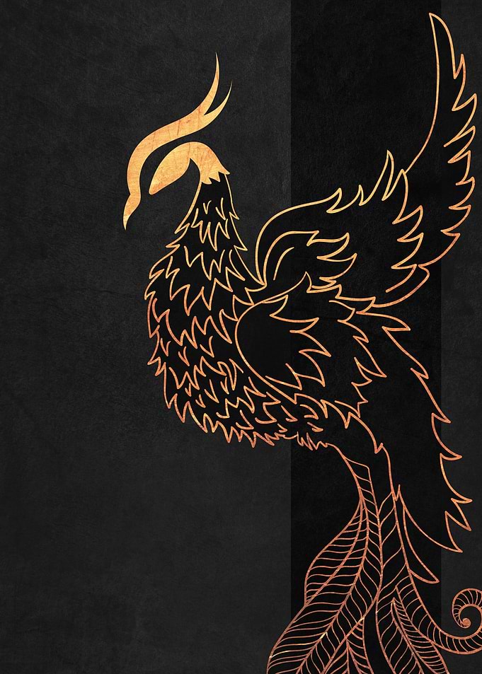 Golden Phoenix on Black Background
