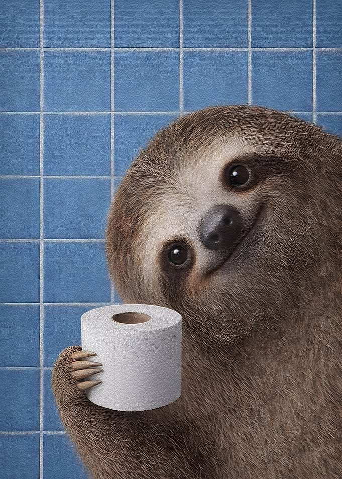Sloth holding toilet paper are you pooping