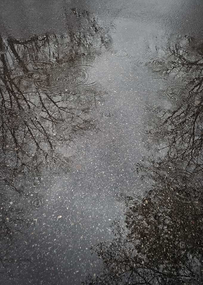 Rainy Puddle Reflections