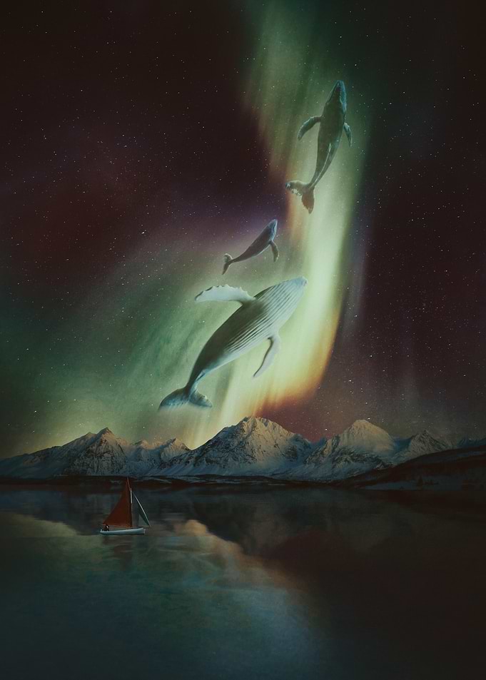 Night Glow