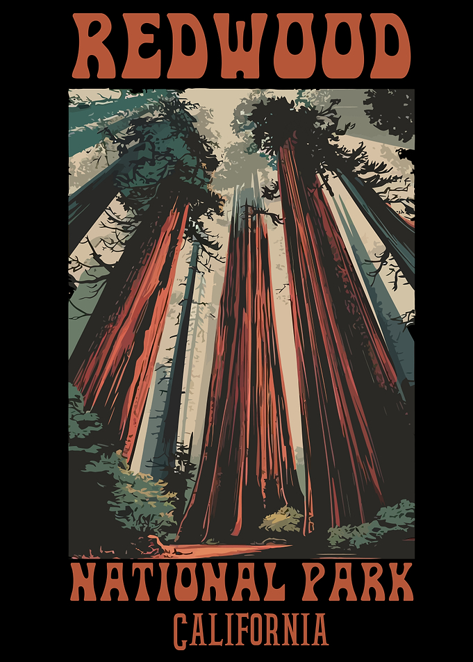 Redwood National Park California Poster