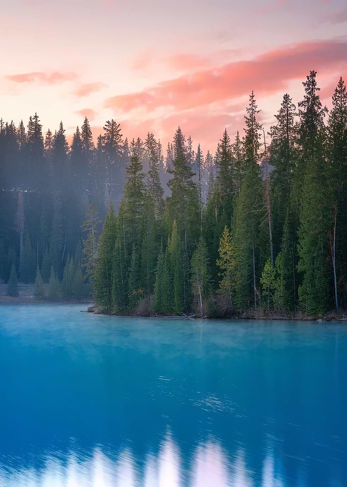 Lake and Forest at Sunrise