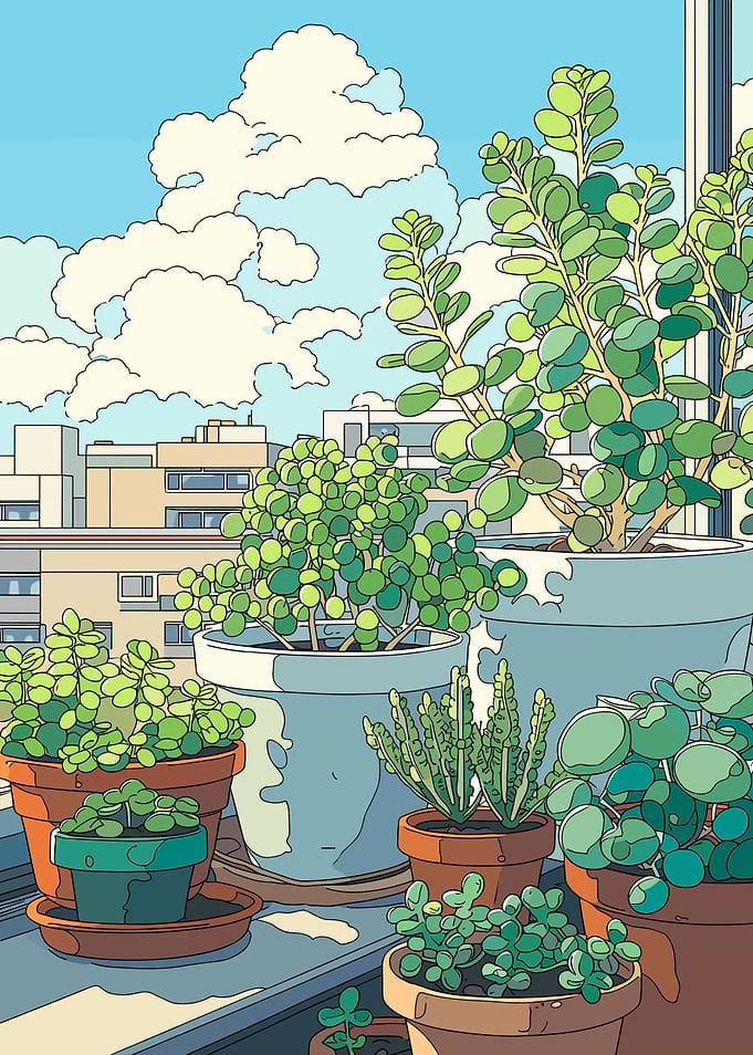 Potted plants on a balcony with city view