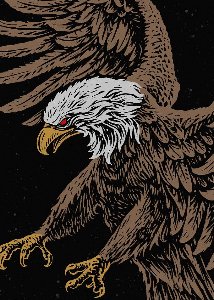Eagle in Flight