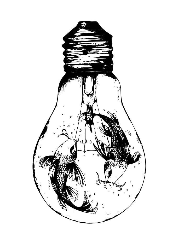 Koi Fish in a Light Bulb