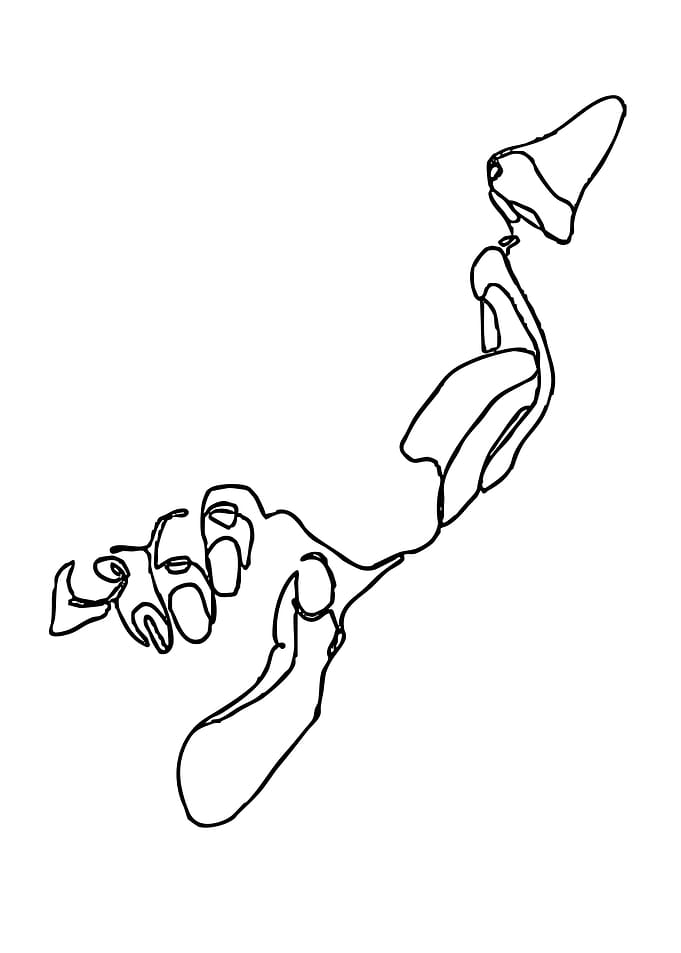 Abstract Line Art of a Face