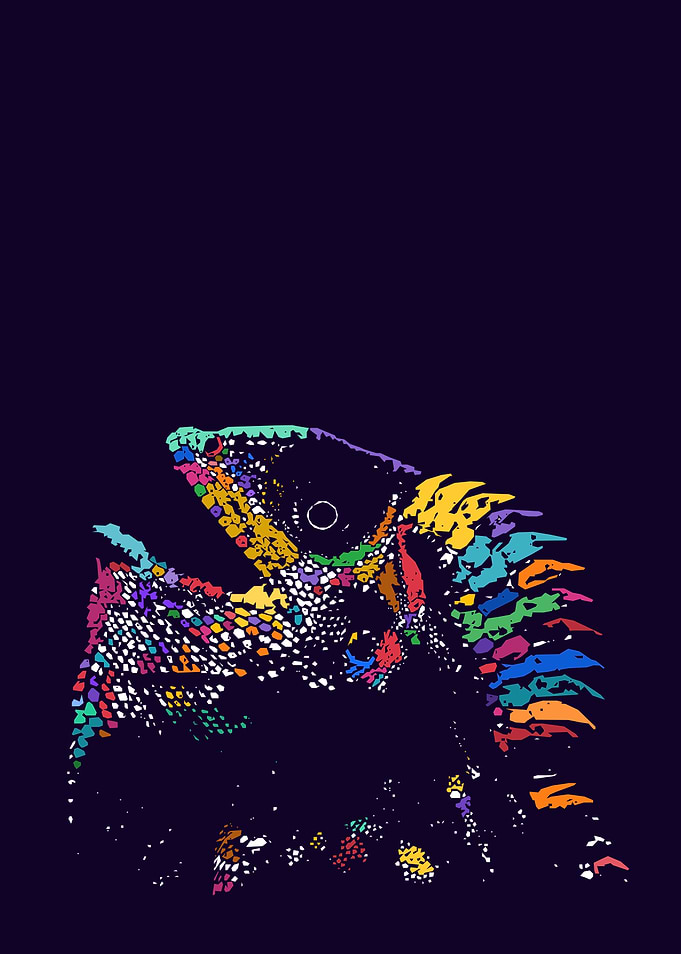 Colorful Lizard Head Close-up