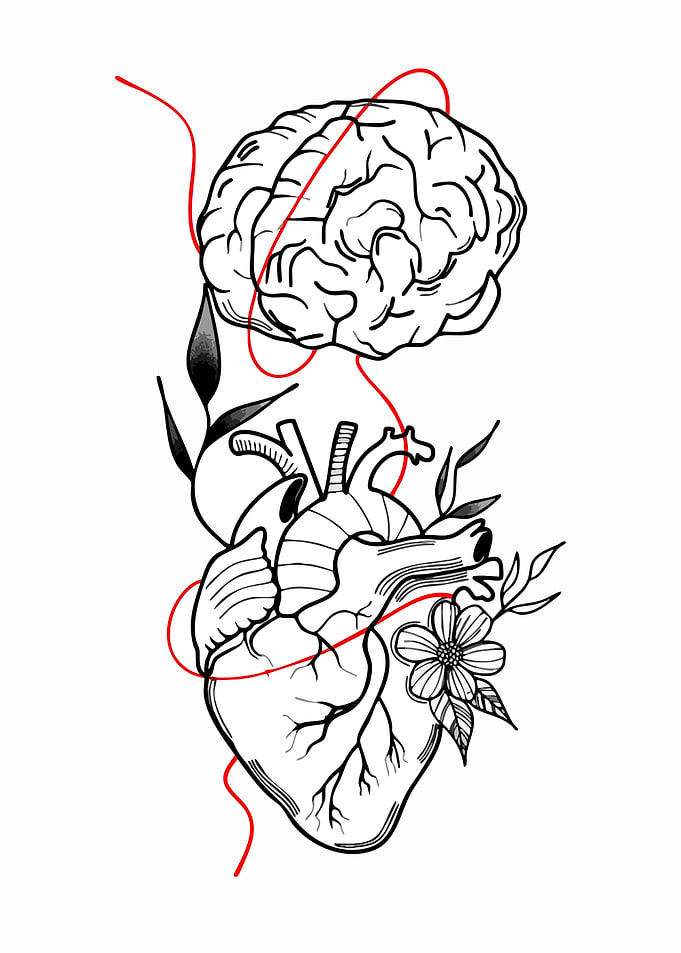 Brain and Heart Connection