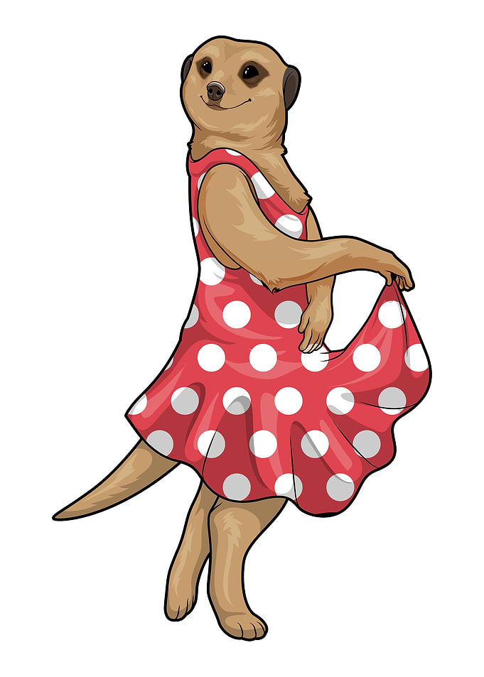 Meerkat Polka Dot Dress