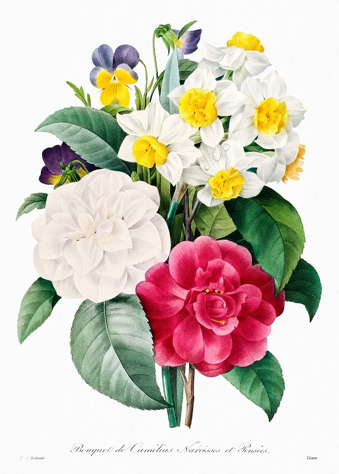 Bouquet of Camellias, Daffodils, and Pansies