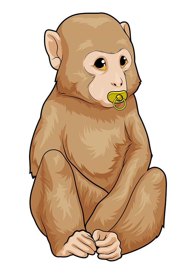 Baby Monkey Pacifier