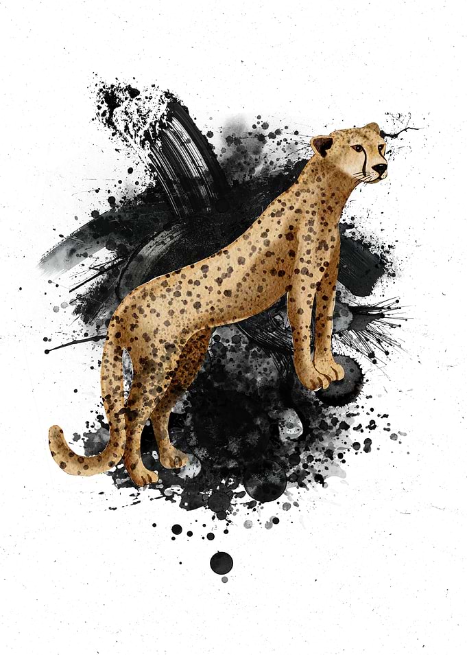 Cheetah with Black Ink Splatter