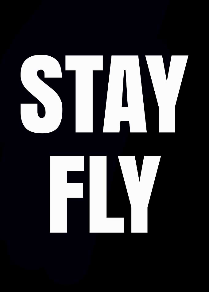 Stay Fly Text Art