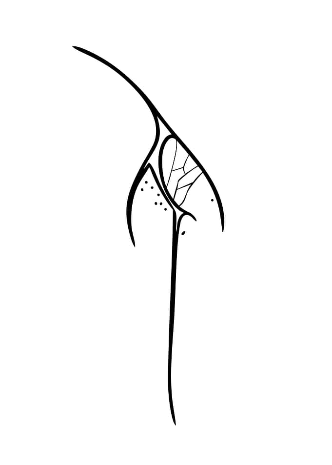 Abstract Elven Design