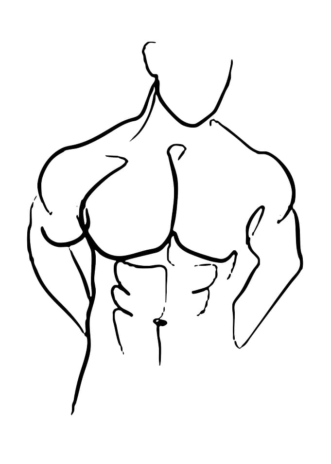 Minimalist Line Art of Muscular Torso