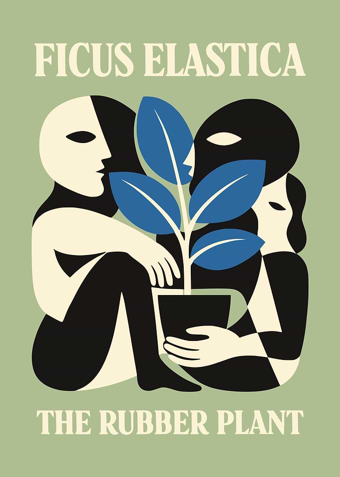 Ficus Elastica Rubber Plant Art