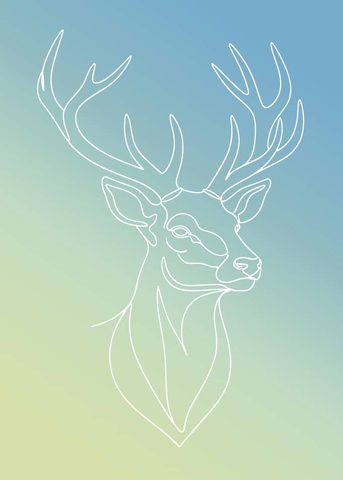 Minimalist Deer Line Art