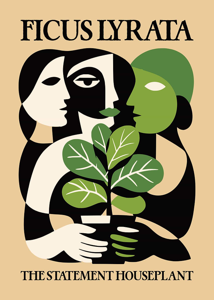 Ficus Lyrata Statement Houseplant Art