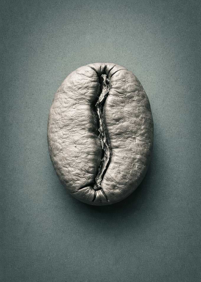 Close-up of a single coffee bean