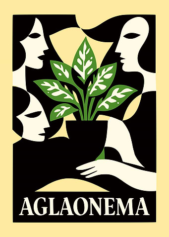 Aglonema Plant Poster