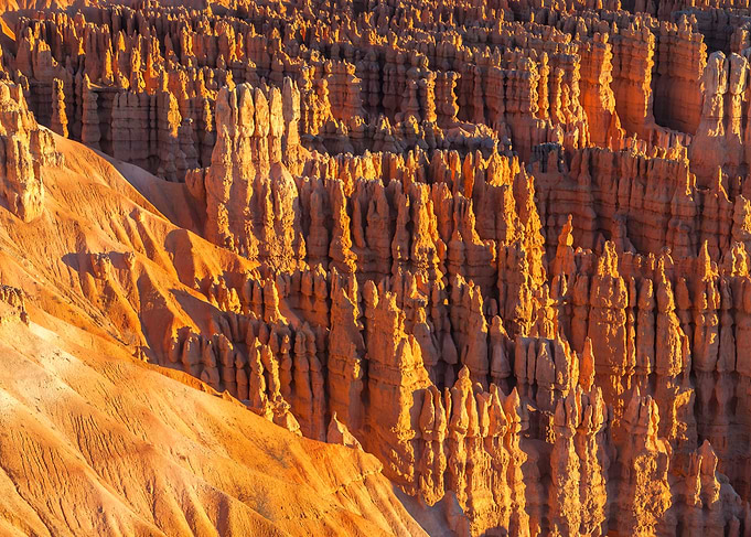 Bryce Canyon Hoodoos at Sunrise
