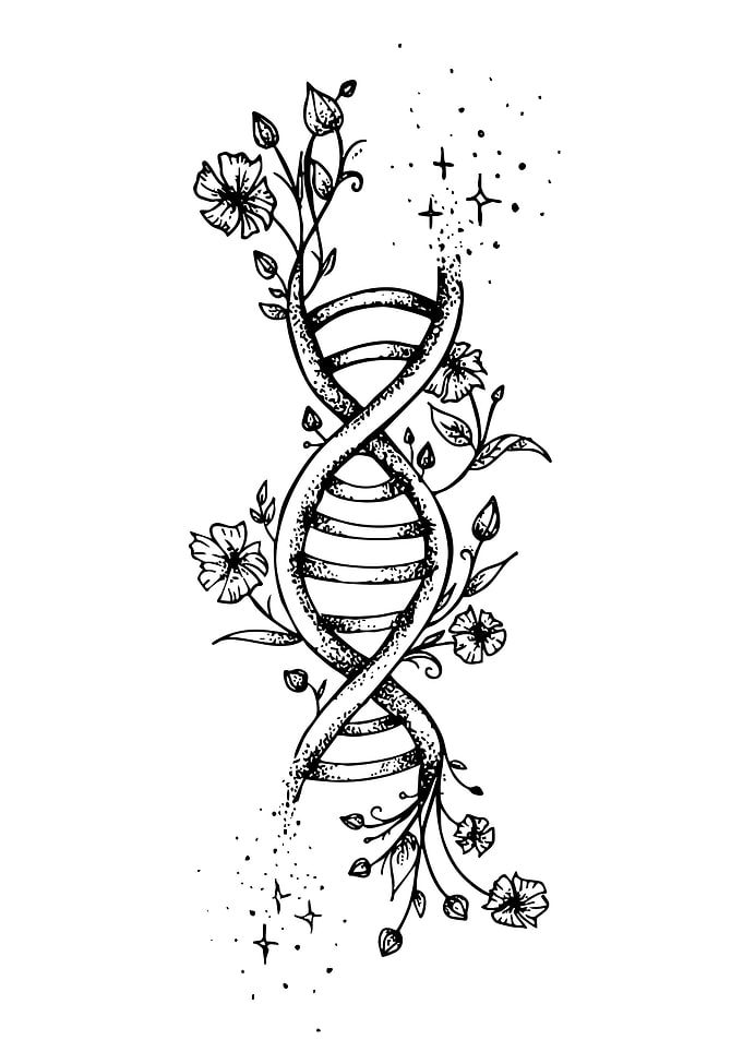 DNA Helix with Flowers and Stars