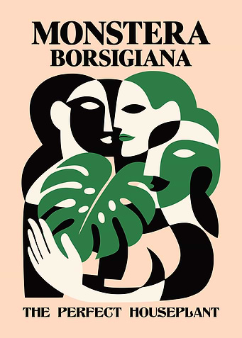 Monstera Borsigiana Plant Poster