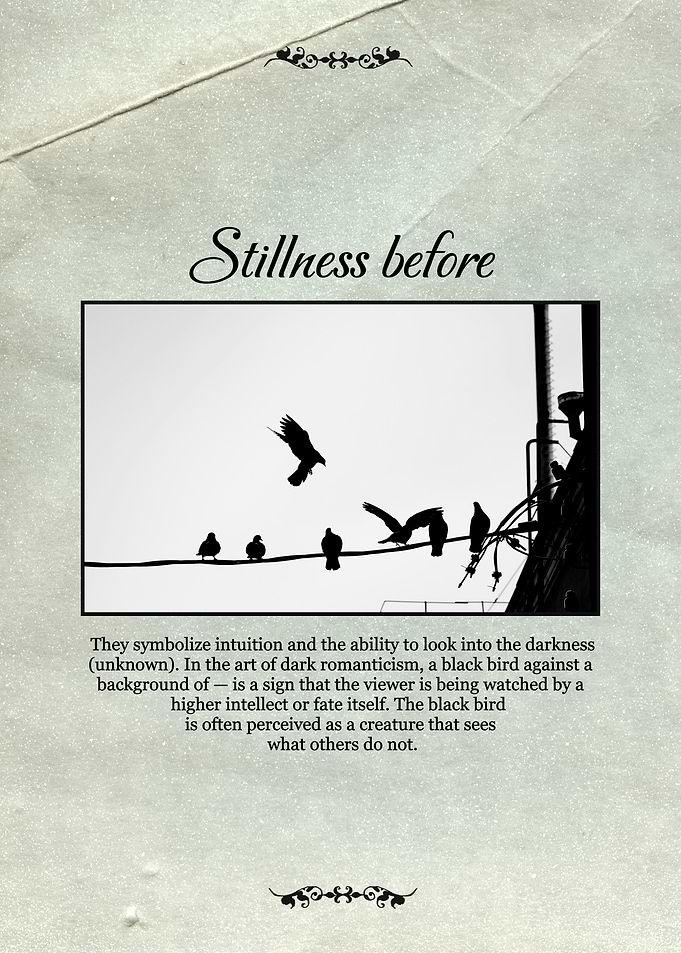 Stillness Before Birds on Wire