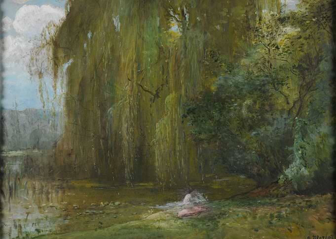 Serene Willow Tree by the Water