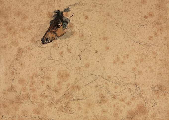 Sketch of a Horse Head and Body