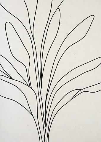 Minimalist Plant Line Art