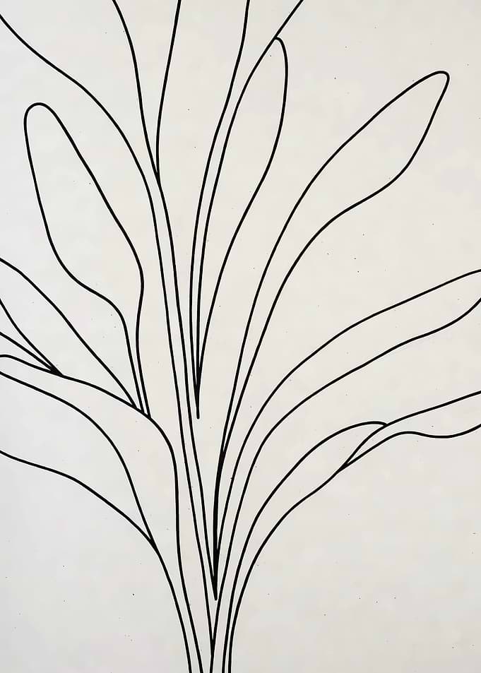 Minimalist Plant Line Art