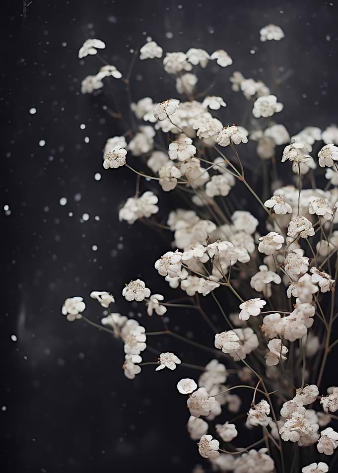 Floral White Breath Flowers