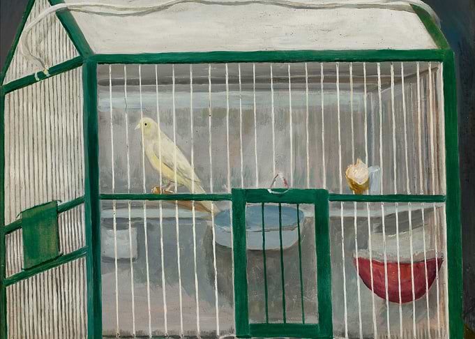 Yellow canary in a green cage