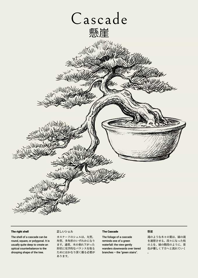 Cascade Bonsai Tree Illustration