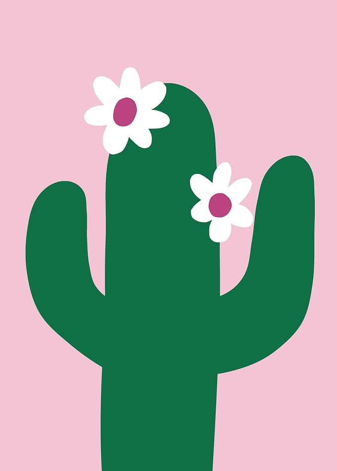 Green Cactus with White Flowers