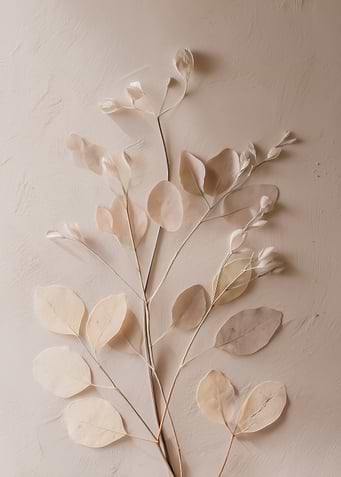 Dried Eucalyptus Branches