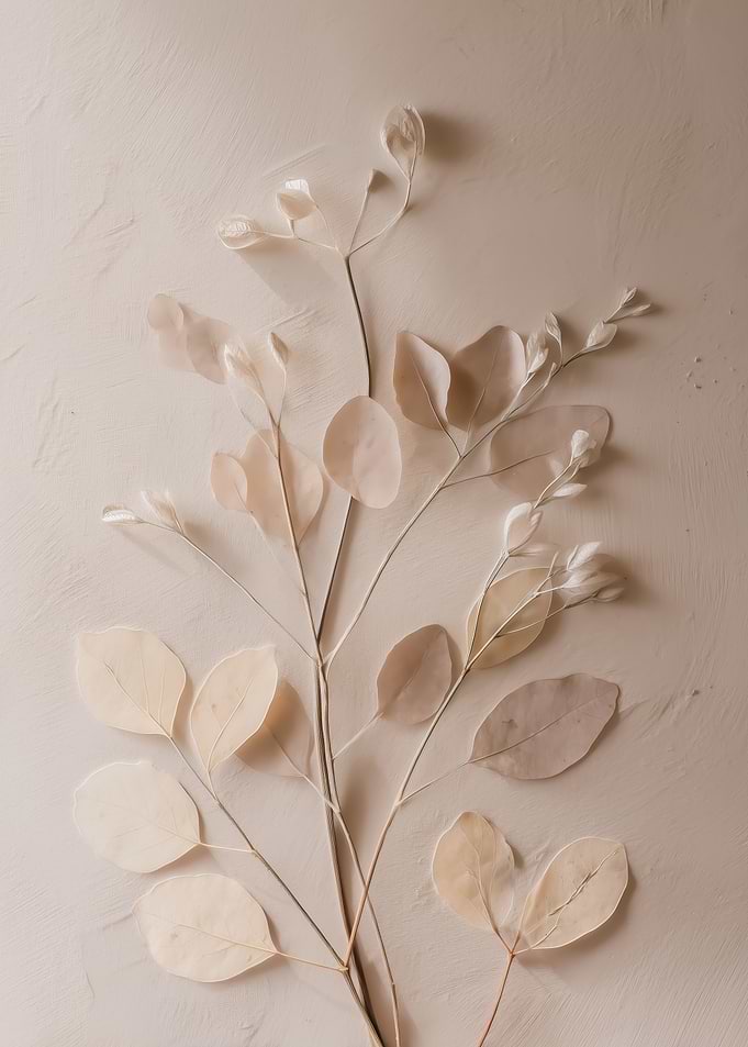 Dried Eucalyptus Branches