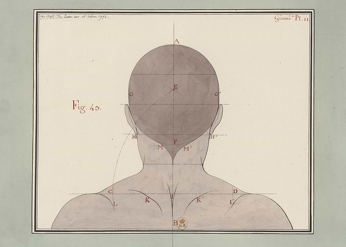 Anatomical Study of the Human Head and Neck