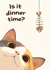 Cat asking if it's dinner time