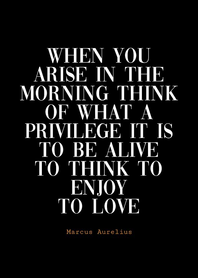 Marcus Aurelius Quote on Life