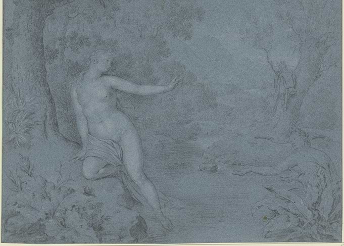 Naked Woman in a Forest Scene