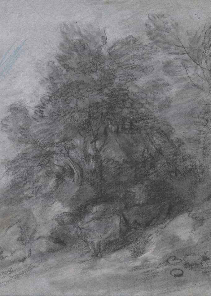 Charcoal sketch of trees and rocks