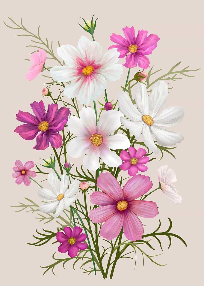 Cosmos Flower Bouquet