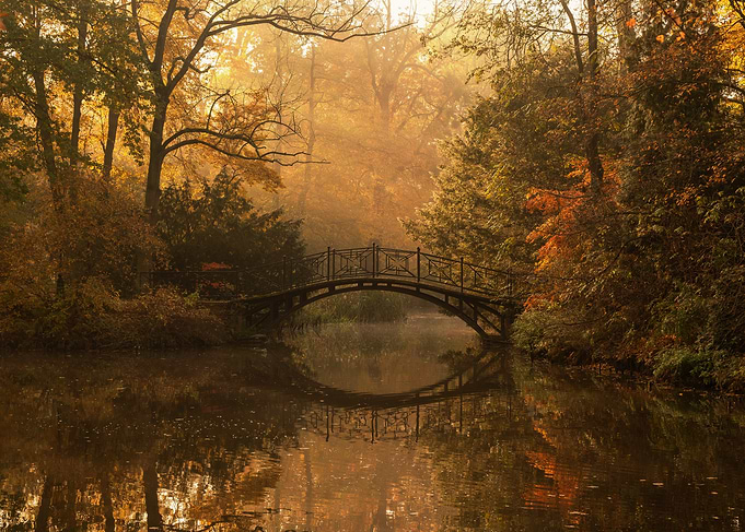 Autumn bridge over a misty lake