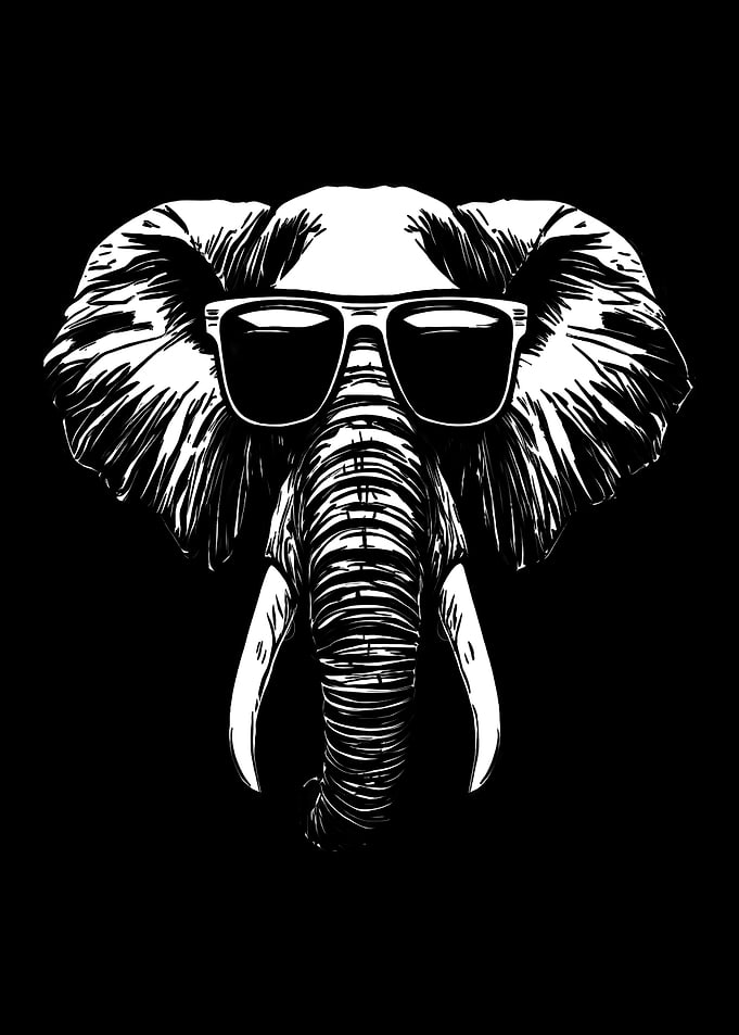 Elephant Wearing Sunglasses