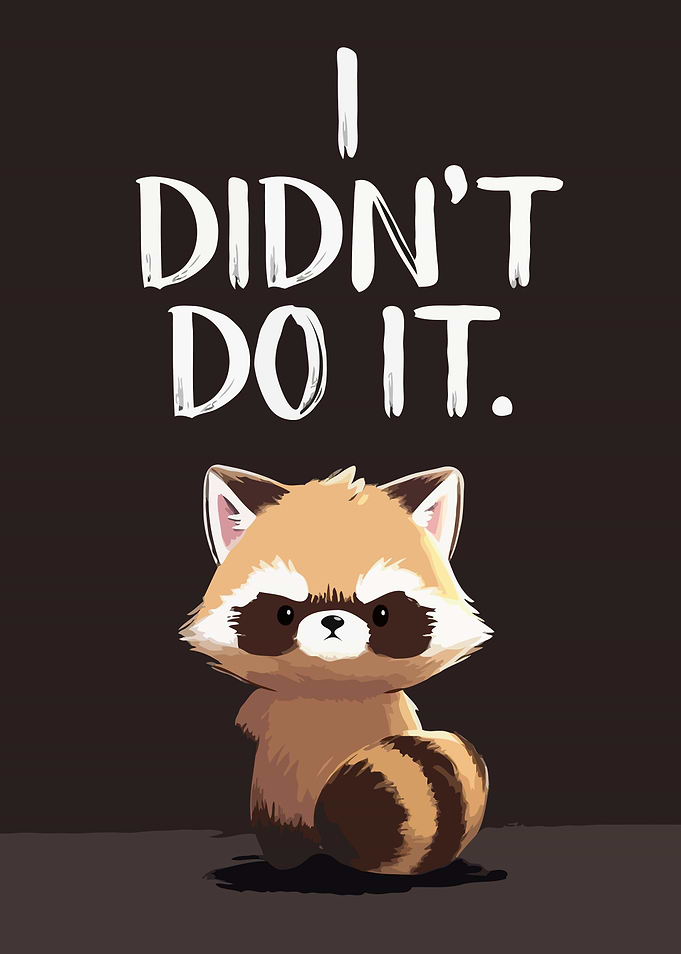 Cute Raccoon Saying I Didn't Do It