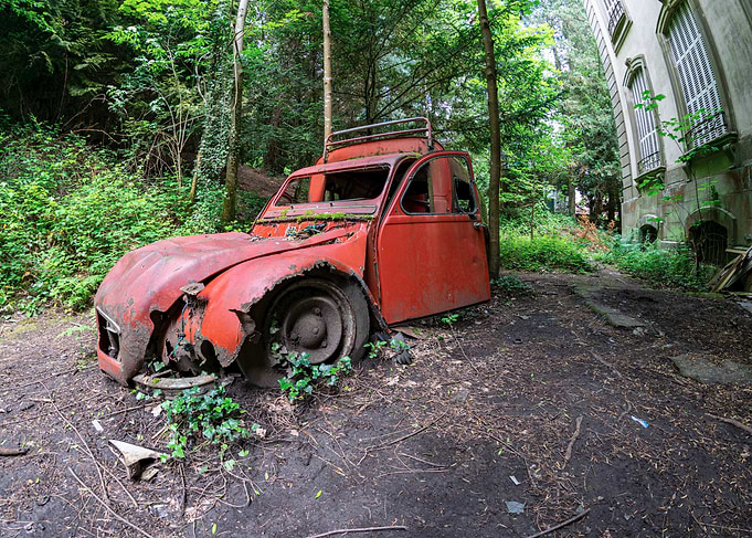 Abandoned Red Car in Overgrown Forest